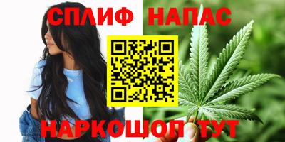прущие грибы Гусев