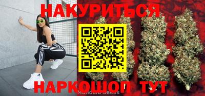 прущие грибы Гусев