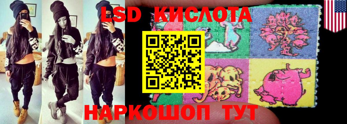 ЛСД экстази кислота  LSD-25 экстази кислота  Новозыбков  Вход с VPN 