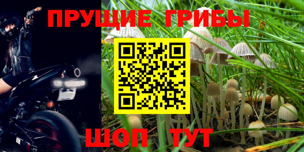 Alpha-PVP Новозыбков