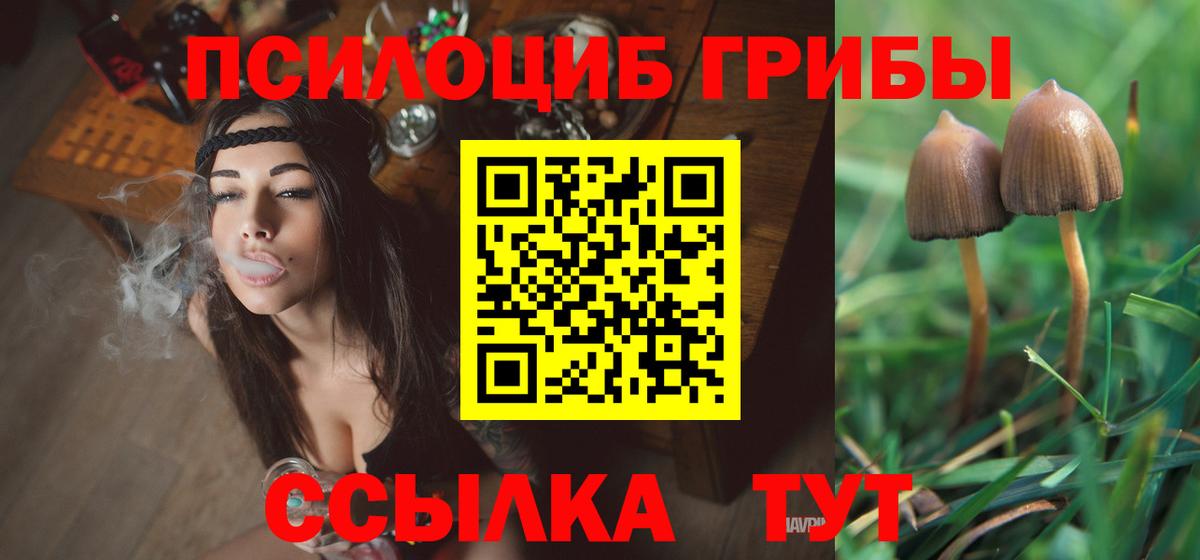 наркота  Вход с VPN  Новозыбков  Галлюциногенные грибы мухоморы 