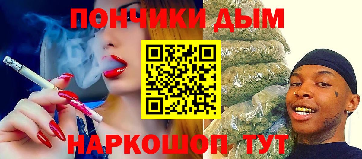Бошки марихуана сатива  Вход с VPN  Новозыбков  Шишки марихуана тримм  Марихуана ГИДРОПОН 